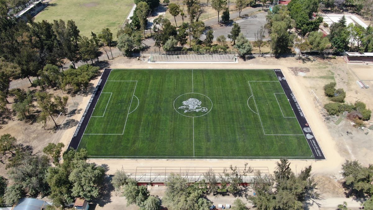 cancha de futbol para municipio en México con pasto sintético