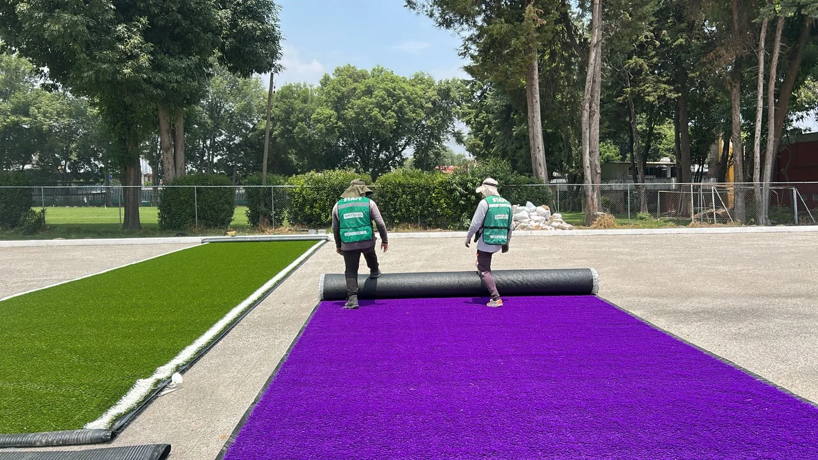 Pasto sintético de colores: cuadrilla de Sportmaster instalando pasto sintético morado junto a pasto verde