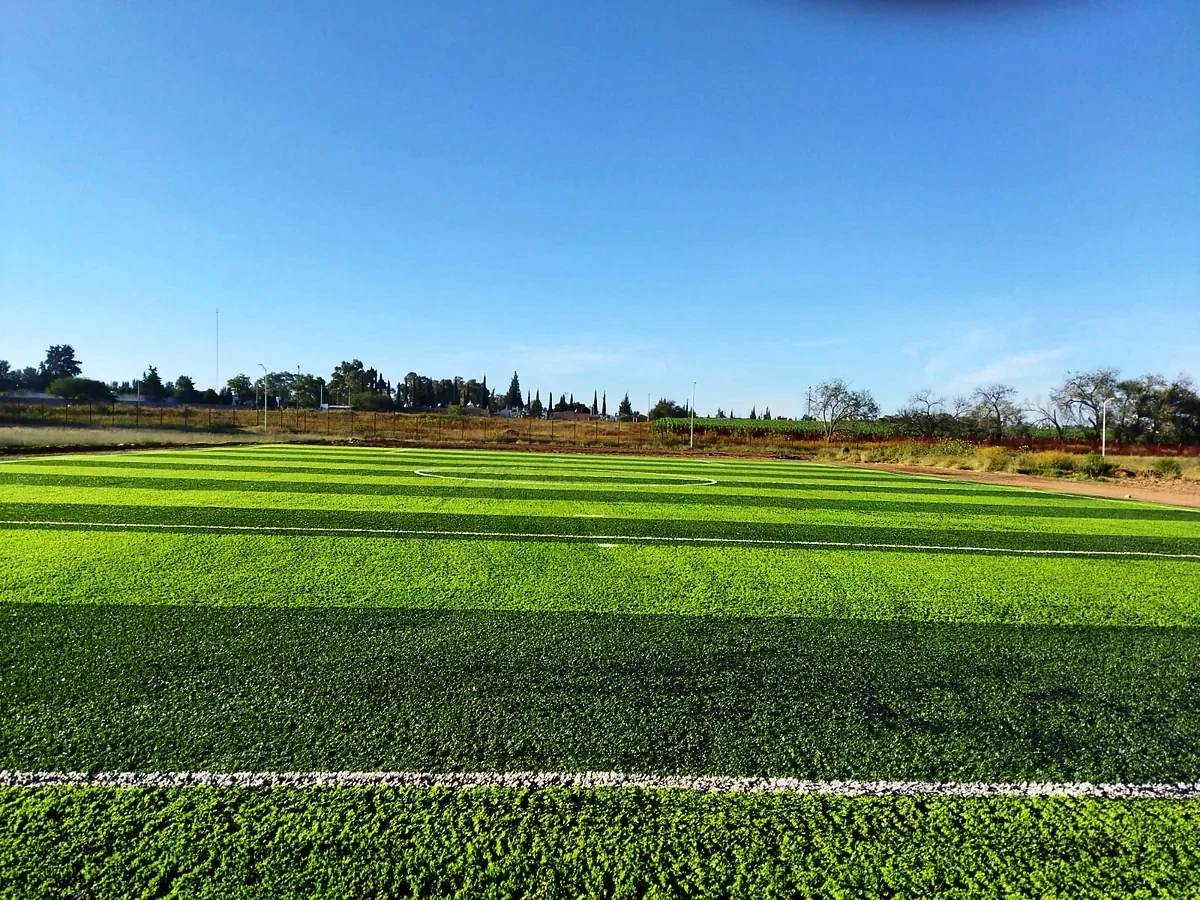 Cancha de fútbol 7 con pasto sintético en Instituto Tecnológico de Pabellón de Arteaga, Aguascalientes: pasto sintético deportivo recién cepillado