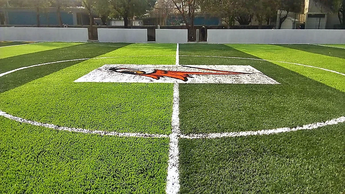 Cancha de fútbol rápido con pasto sintético en Escuela Primaria Pablo Guardado Chávez, Tuxtla Gutiérrez, Chiapas: la cancha desde la línea lateral