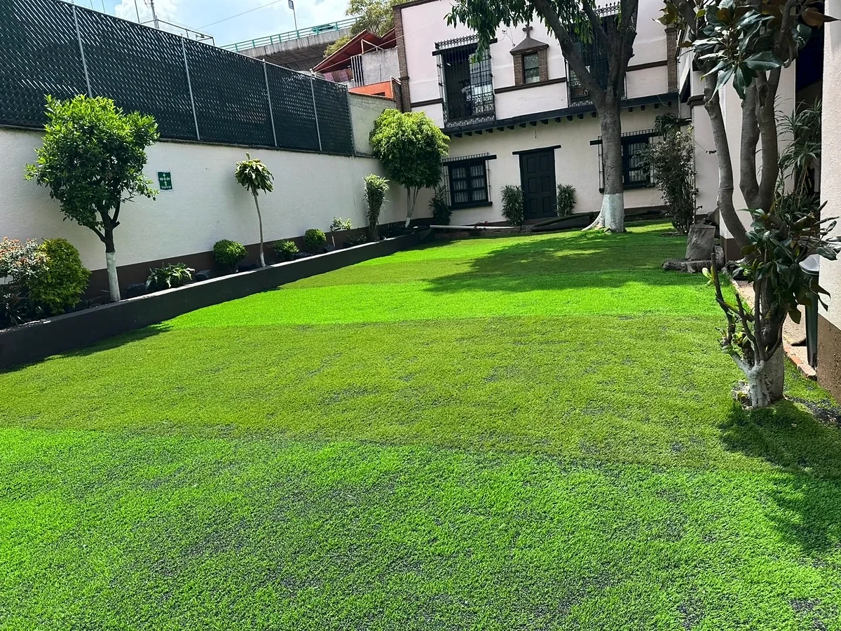 Área verde con pasto sintético con pasto sintético en Benito Juárez, Ciudad de México: el área desde otro ángulo