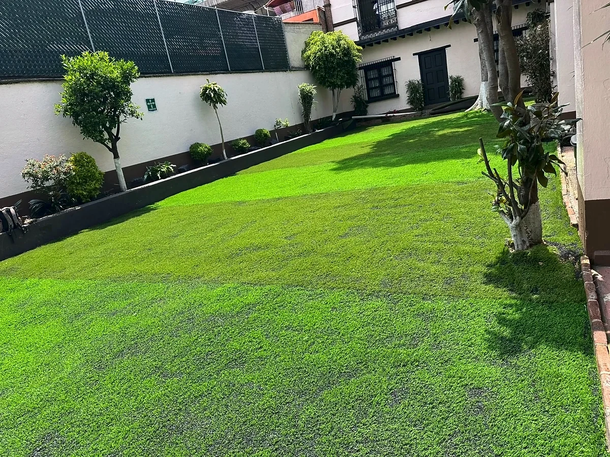 Área verde con pasto sintético con pasto sintético en Benito Juárez, Ciudad de México: otra vista del área verde