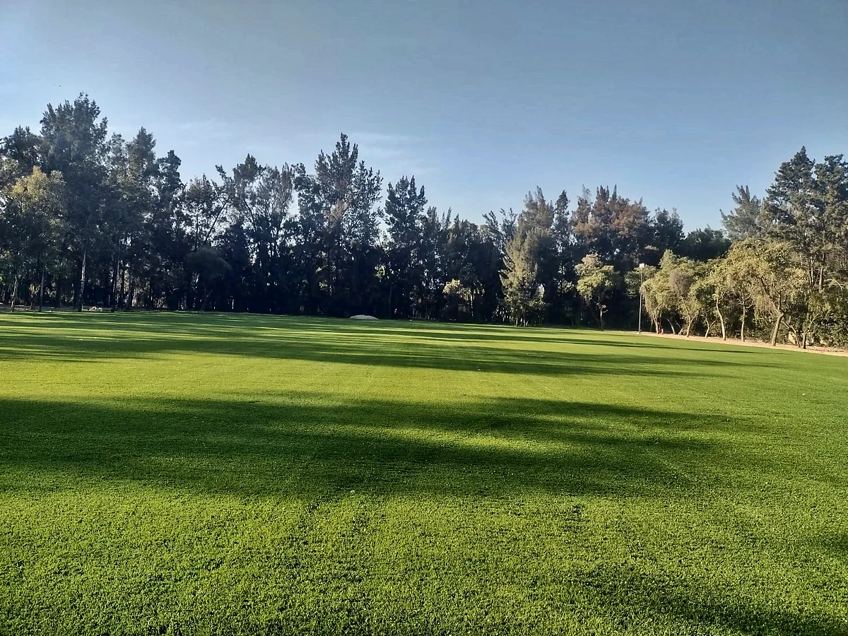 Área verde con pasto sintético en Iztacalco, Ciudad de México: el área desde otro ángulo