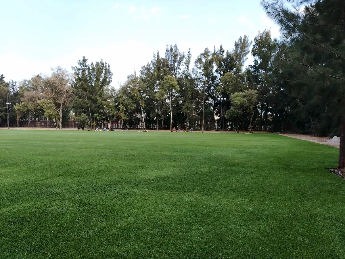 Área verde con pasto sintético en Iztacalco, Ciudad de México: otra vista del área verde