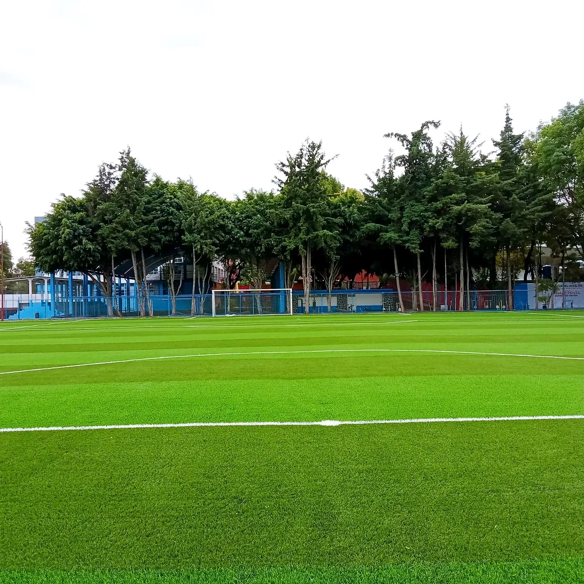 Cancha de fútbol soccer con pasto sintético en Miguel Hidalgo, Ciudad de México: vista de la cancha y su entorno