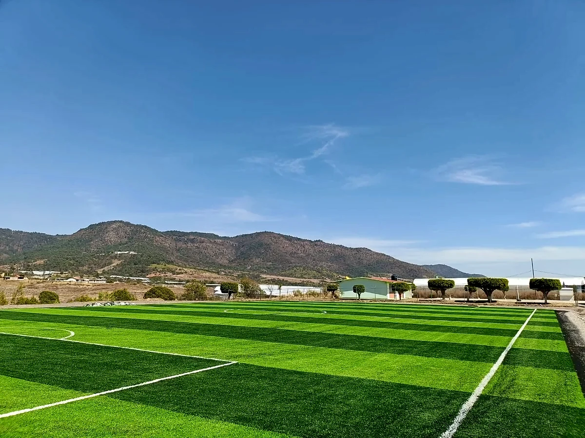 Cancha de fútbol 7 con pasto sintético en Cancha Localidad de Buenos Aires, Almoloya de Alquisiras, Estado de México: líneas de juego insertadas en el mismo pasto