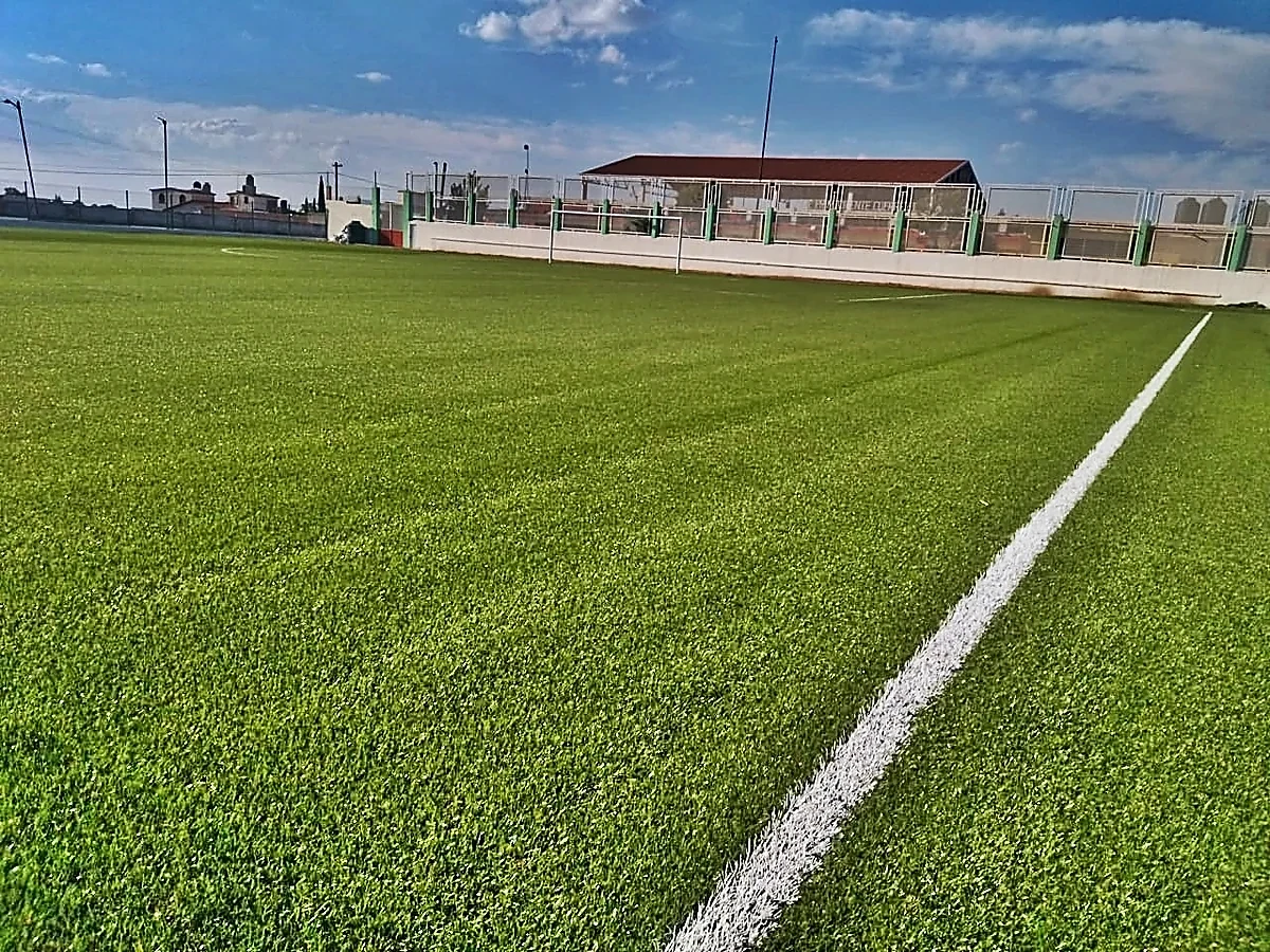 Detalle del pasto sintético de la cancha de fútbol soccer en Tapaxco (El Oro), Estado de México
