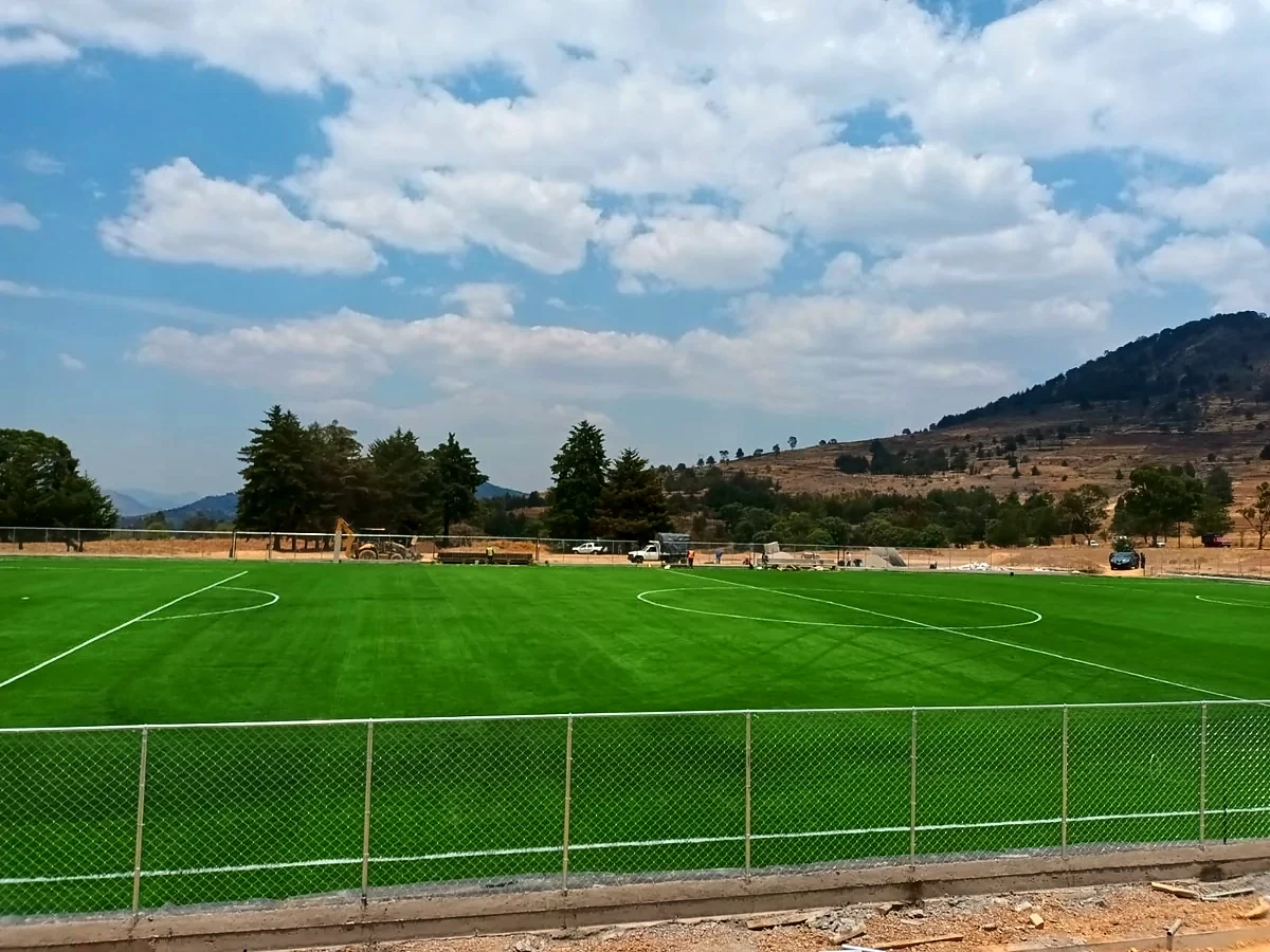 Detalle del pasto sintético de la cancha de fútbol soccer en San Pedro del Rosal, Estado de México