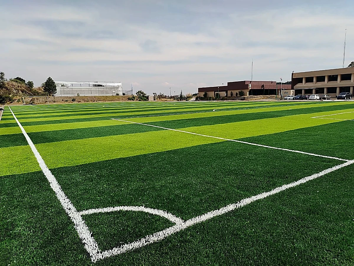 Detalle del pasto sintético de la cancha de fútbol soccer en Huixquilucan, Estado de México