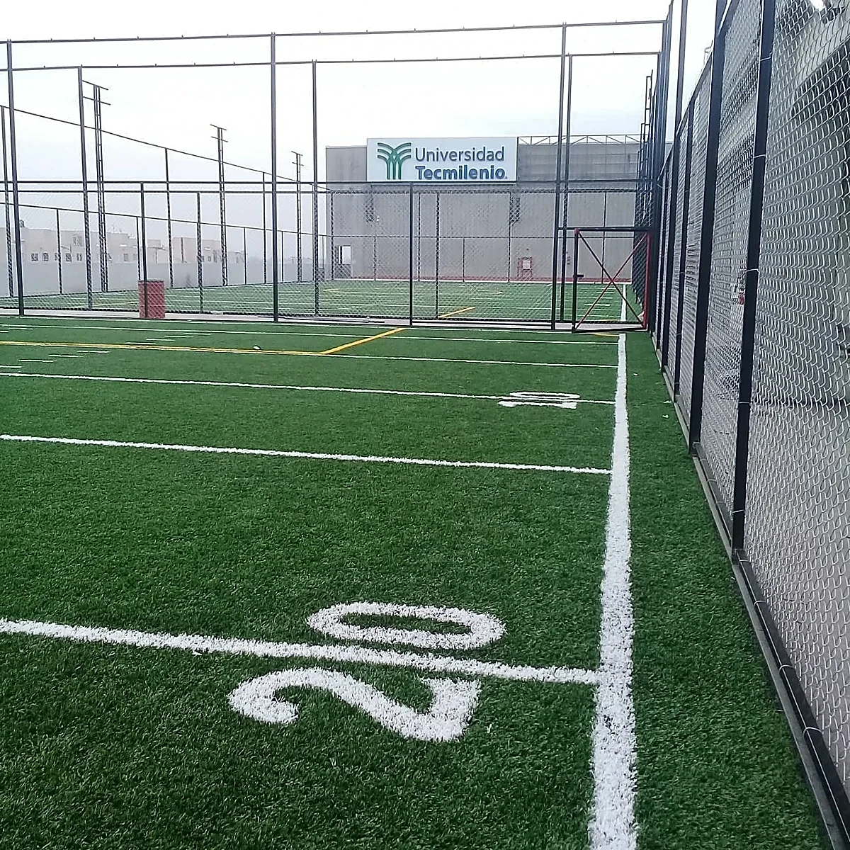 Detalle del pasto sintético de la cancha de tochito en Ecatepec, Estado de México