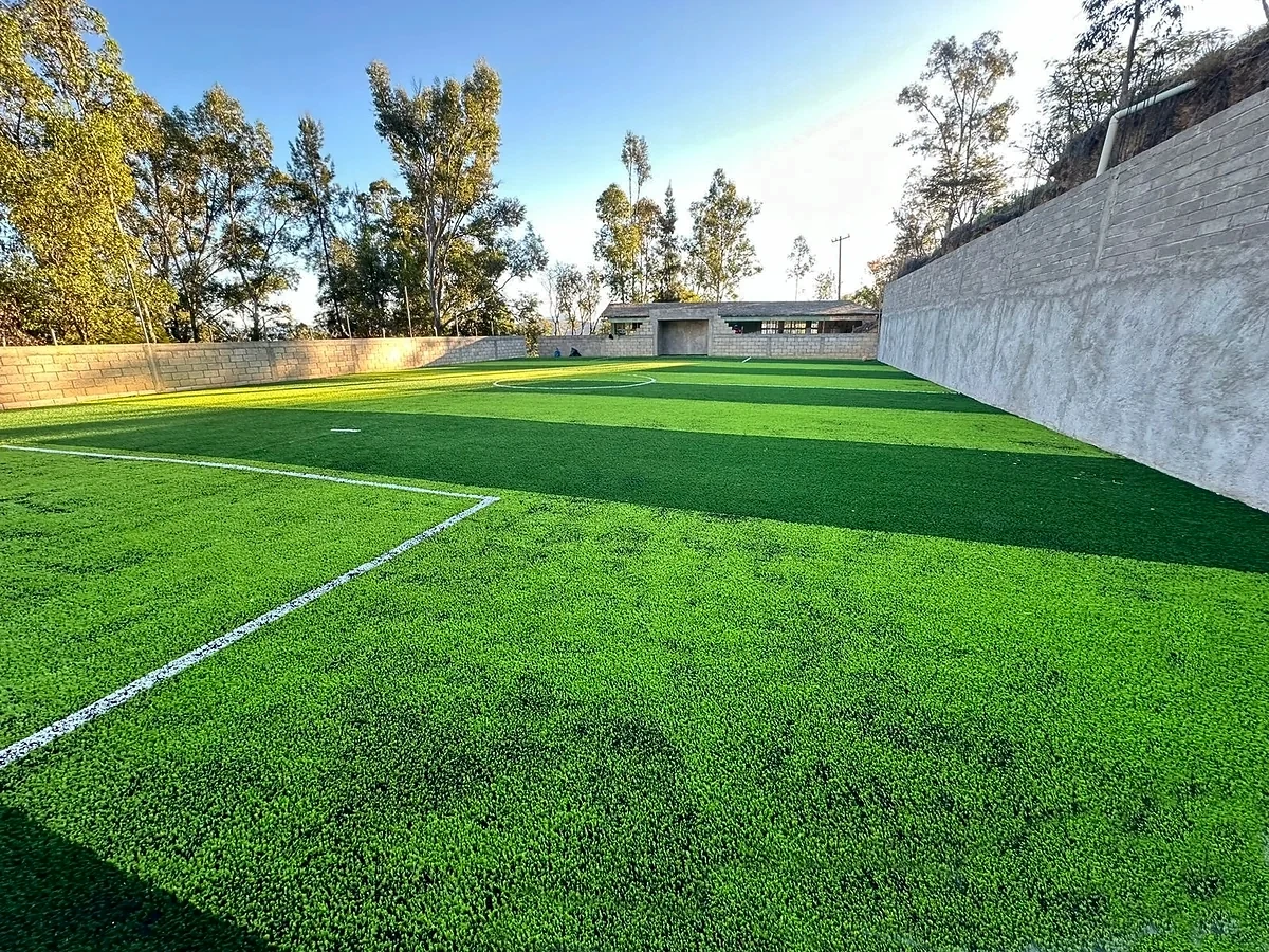 Cancha de fútbol 5 con pasto sintético en Sec. Téc. No. 122, Temalacatzingo, Guerrero: líneas insertadas en el pasto sintético