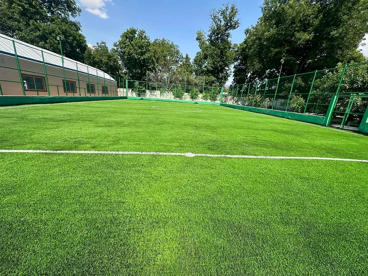Pasto sintético en Pachuca e Hidalgo: Cancha de fútbol 7 en la Cancha los Pavorreales, Tecozautla