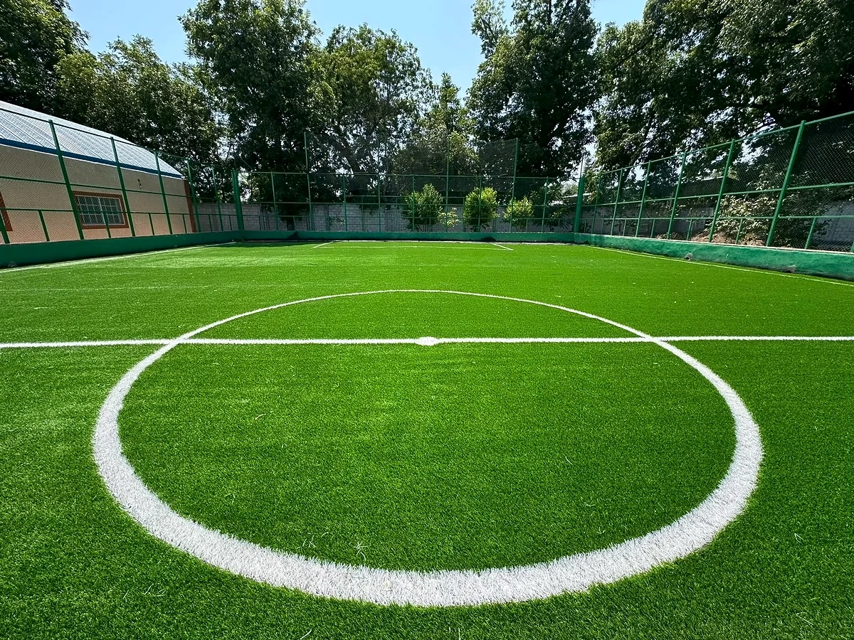 Pasto sintético en Pachuca e Hidalgo: Cancha de fútbol 7 en la Cancha los Pavorreales, Tecozautla