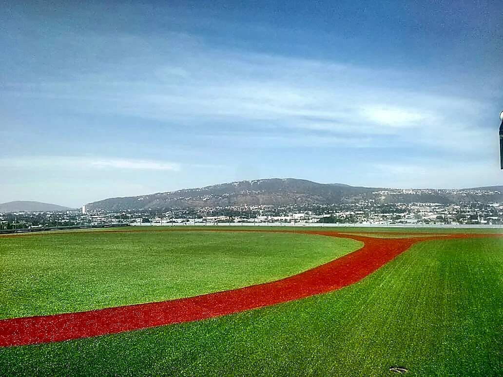 Área verde con pasto sintético con pasto sintético en Edificio Techparc, Tlaquepaque
