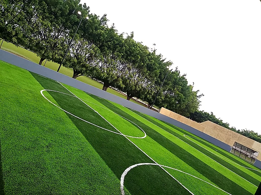 Cancha de fútbol rápido con pasto sintético en Unidad Deportiva Tizapán, Jalisco: pasto sintético deportivo recién cepillado