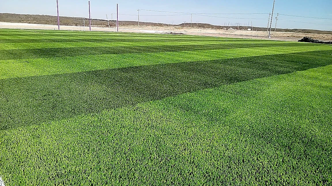 Cancha de fútbol soccer con pasto sintético en General Bravo, Nuevo León: la cancha desde la línea lateral