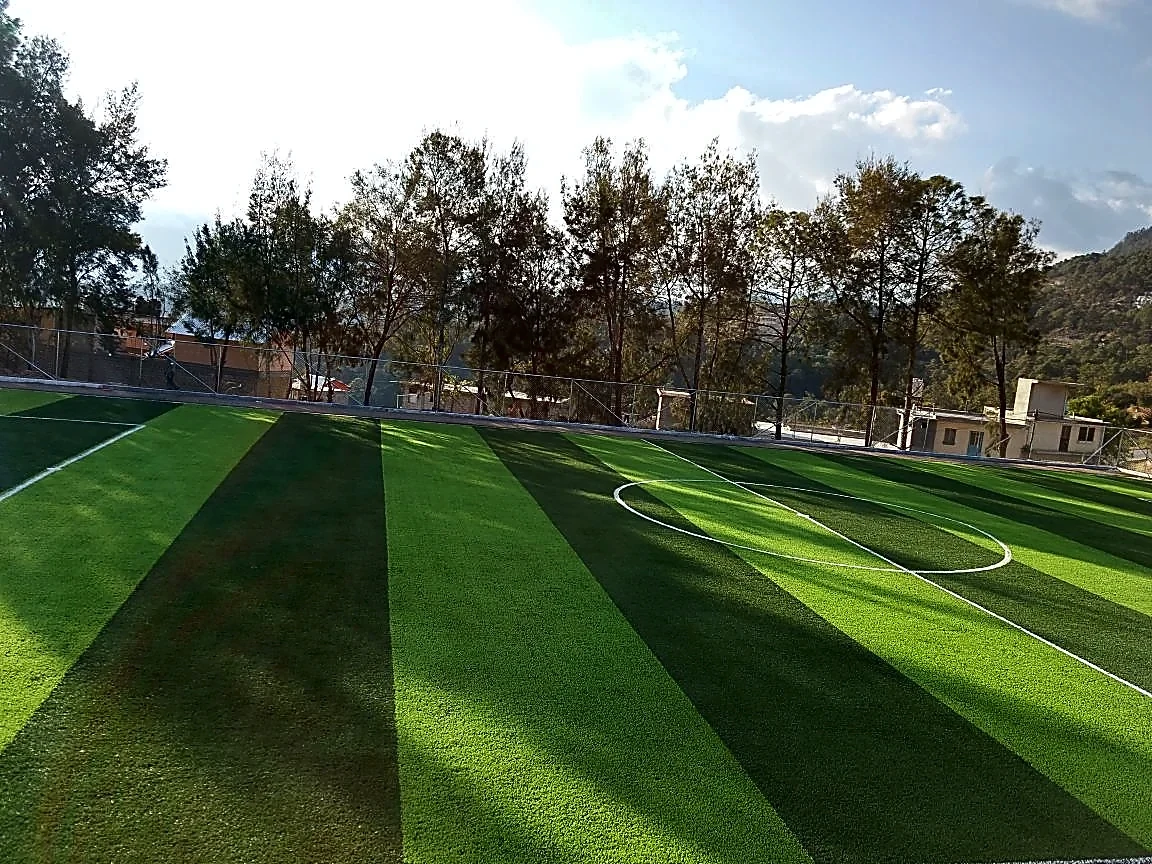 Cancha de fútbol 7 con pasto sintético en Escuela Secundaria Tecnica #54, San Miguel el Grande