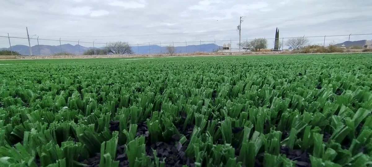Detalle del pasto sintético de la cancha de fútbol soccer en San Pablo Tolimán, Querétaro