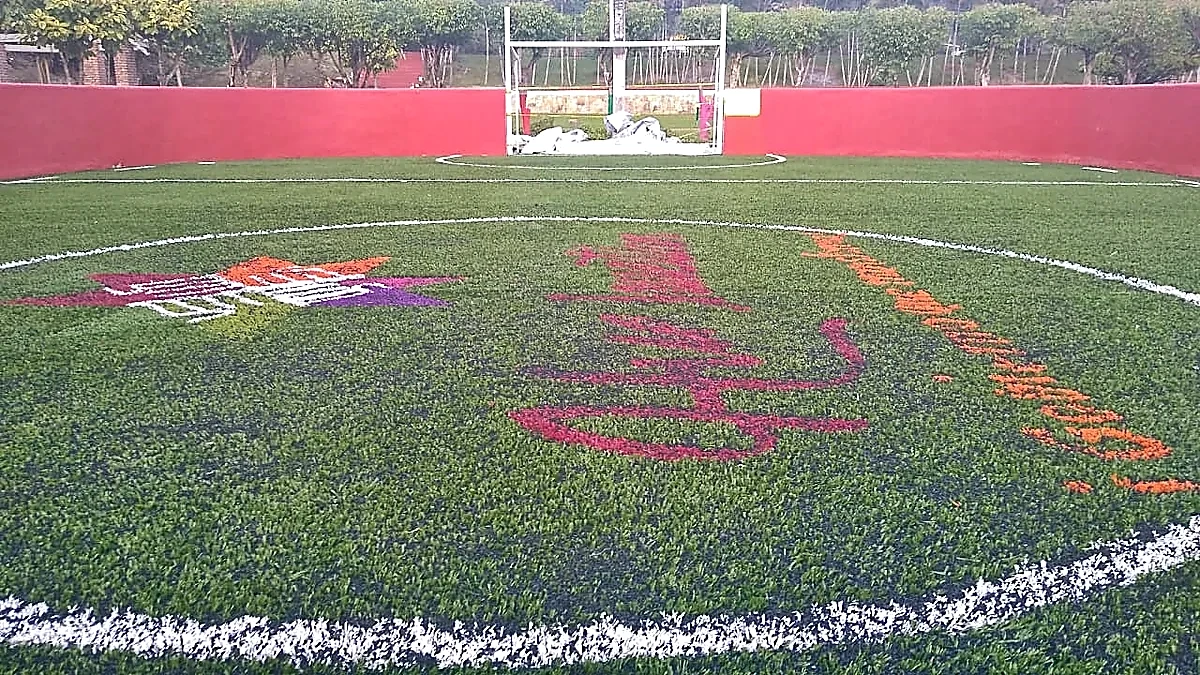 Detalle del pasto sintético de la cancha de fútbol rápido en Huichihuayán, San Luis Potosí