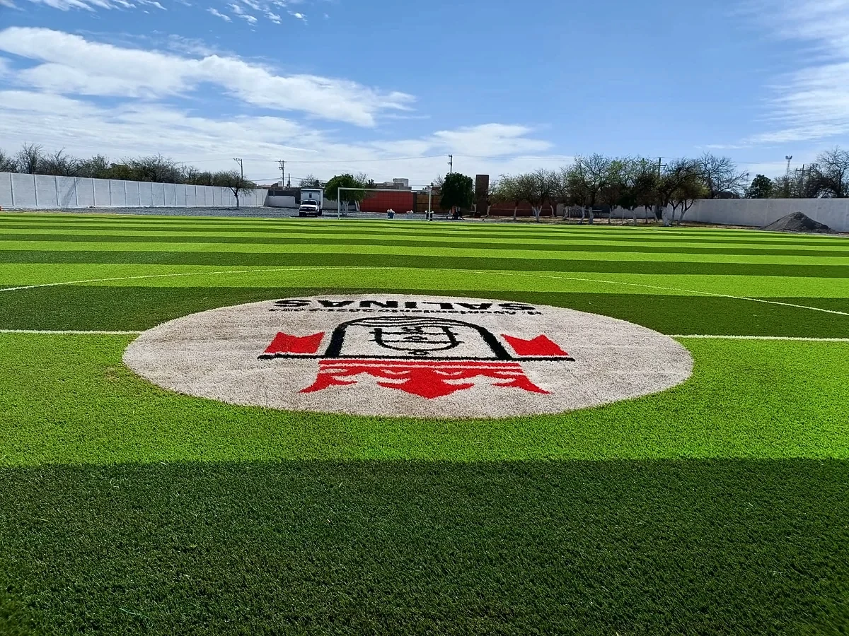 Cancha de fútbol soccer con pasto sintético en Campo Fútbol Club de Leones, Salinas, San Luis Potosí: la cancha desdel fondo