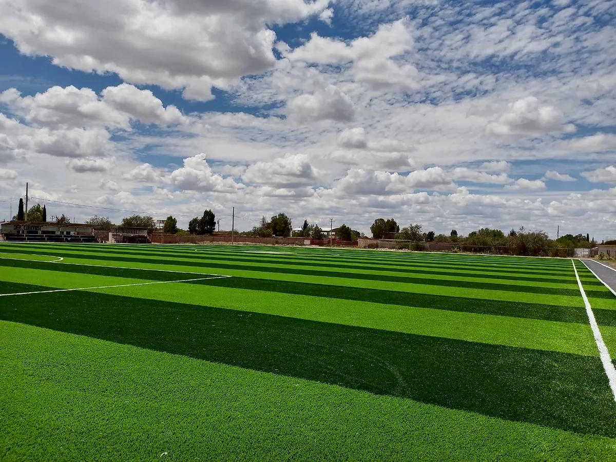 Cancha de fútbol soccer con pasto sintético en Villa de Ramos, San Luis Potosí: otra vista de la cancha