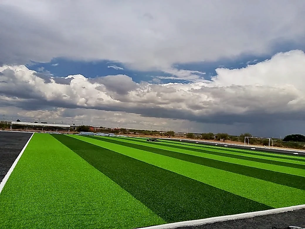 Cancha de fútbol soccer con pasto sintético en Villa de Ramos, San Luis Potosí: pasto sintético deportivo recién cepillado