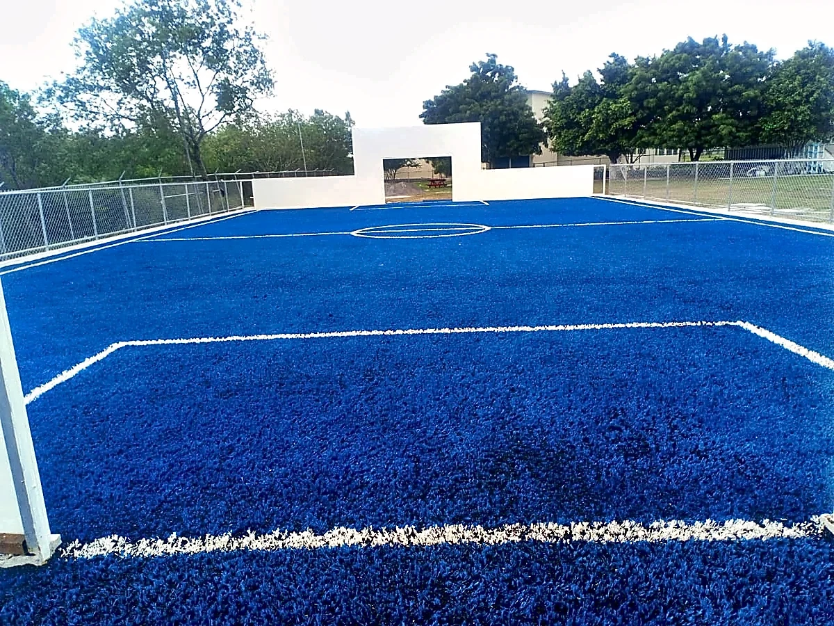Cancha de fútbol 5 con pasto sintético en Colegio Nuevo Santander, Ciudad Victoria