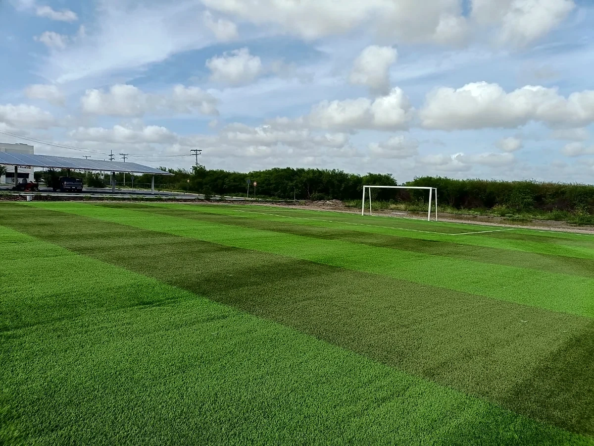 Cancha de fútbol 7 con pasto sintético en Universidad Tecnológica de Matamoros, Tamaulipas: pasto sintético deportivo recién cepillado