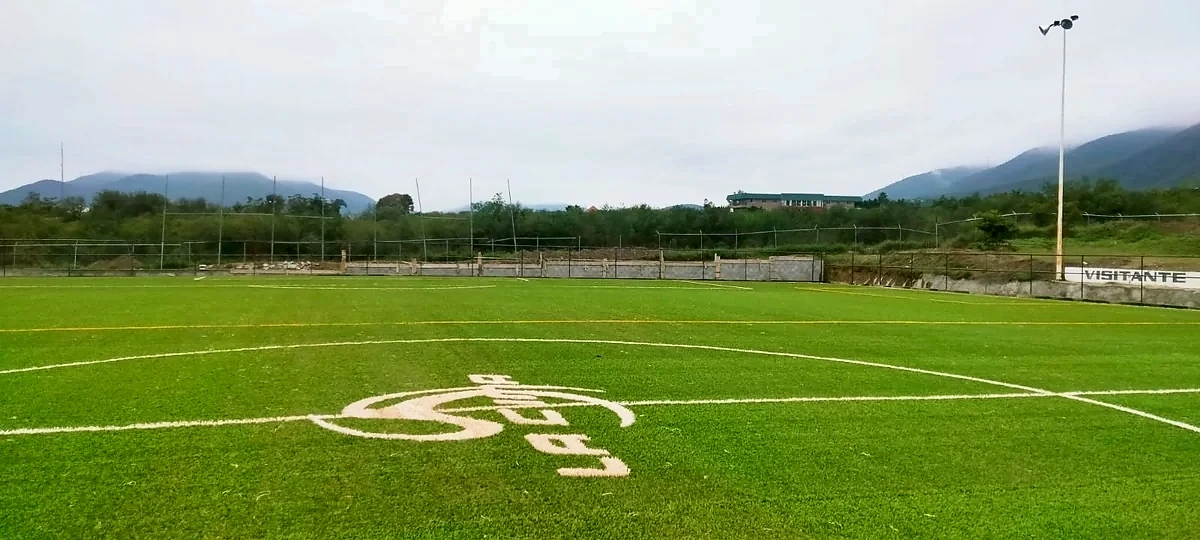 Detalle del pasto sintético de la cancha de fútbol soccer en Ciudad Victoria, Tamaulipas