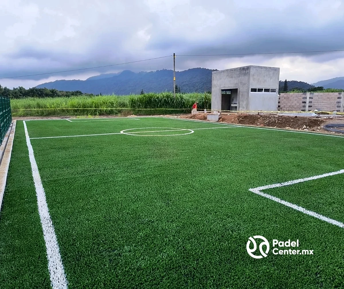 Cancha de fútbol 5 con pasto sintético en Córdoba, Veracruz: líneas insertadas en el pasto sintético